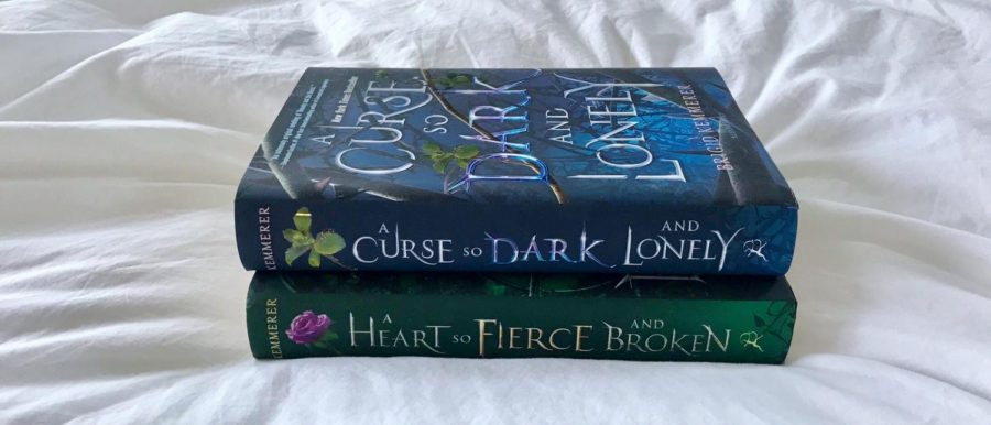 A Curse so Dark and Lonely by Brigid Kemmerer is a top recommendation for holiday reading this year.