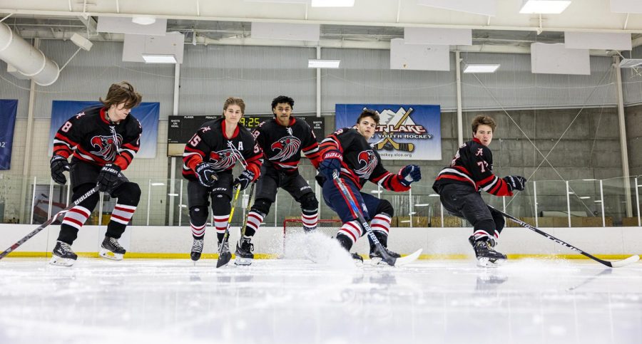 Alta Hawks Hockey Team Reaches 8th in Division