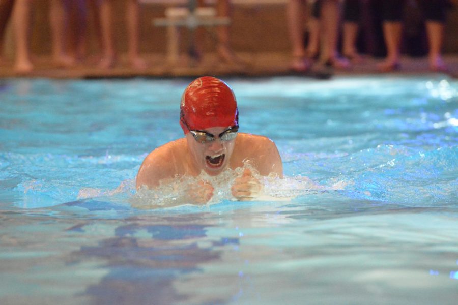 Alta's Swim Team Wins Second at Region