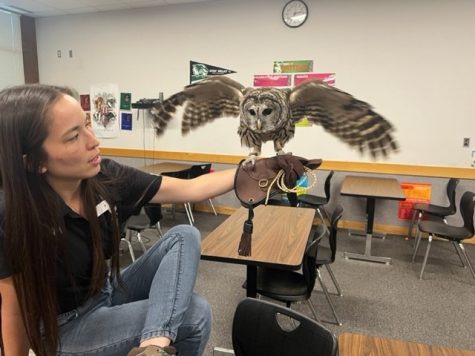 New English teacher Krista Edwards loves birds and falconry. Here, she poses with her bard owl named Romeo.