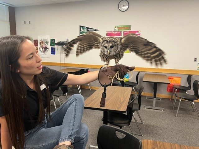 New English teacher Krista Edwards loves birds and falconry. Here, she poses with her bard owl named Romeo.