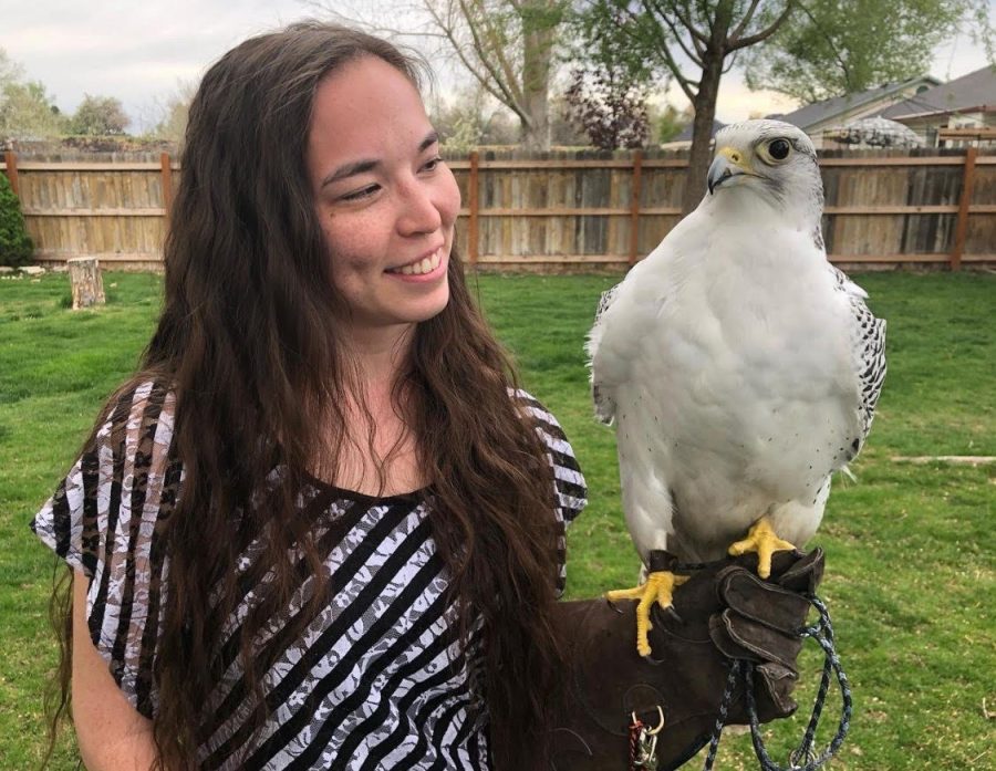 Krista Edwards poses with a gyrfalcon, one of the more highly sought after birds of prey for falconry. These birds sell for $20-40,000.