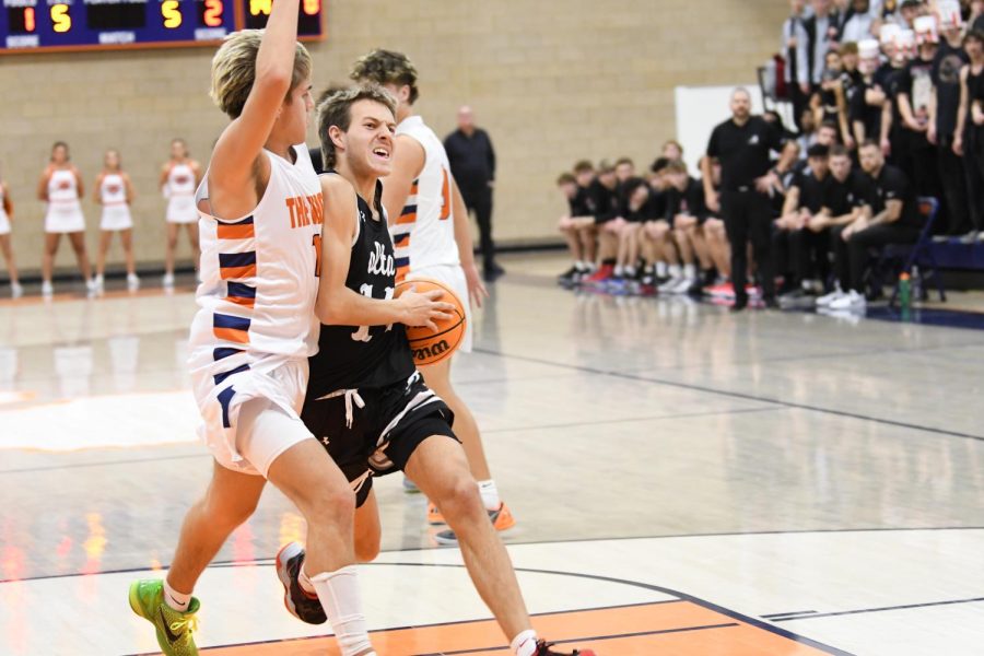 Austin Shelly goes to the hoop in Alta's non-region win over Brighton. This next year, Alta and Brighton will play in the same region.